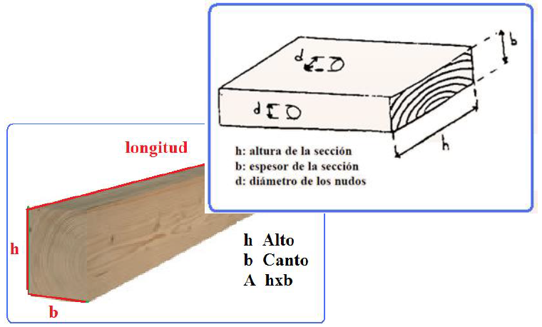 Ser Muñeco de peluche cómodo Dimensiones | Manual Técnico de formación para la caracterización de madera  de uso estructural